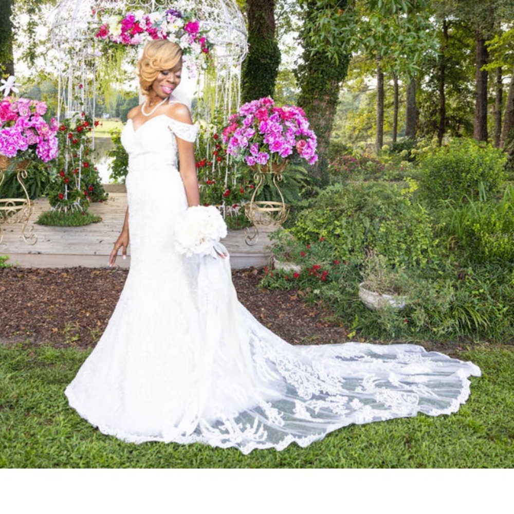 Wedding Gown & veil